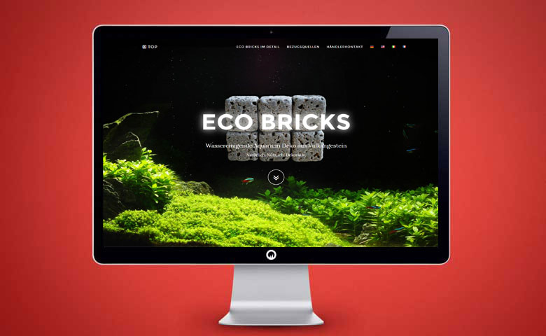 Eco Bricks