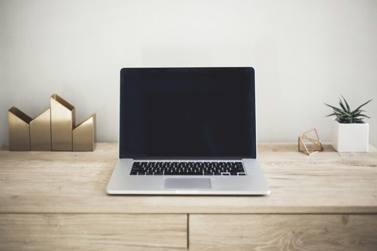Laptop auf einem hellen Schreibtisch neben einer Pflanze – Symbolbild für die Prüfung von Shopdaten